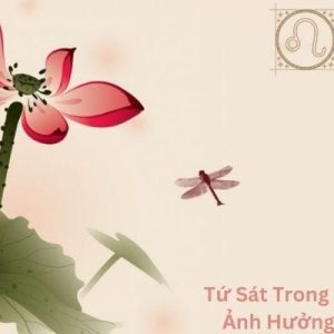 Tứ Sát Trong Tử Vi - Bí Ẩn Và Ảnh Hưởng Bạn Đã Biết?