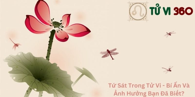 Tứ Sát Trong Tử Vi - Bí Ẩn Và Ảnh Hưởng Bạn Đã Biết?