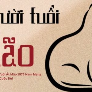 Tử Vi Trọn Đời Tuổi Ất Mão 1975 Nam Mạng - Bật Mí Bí Mật Cuộc Đời