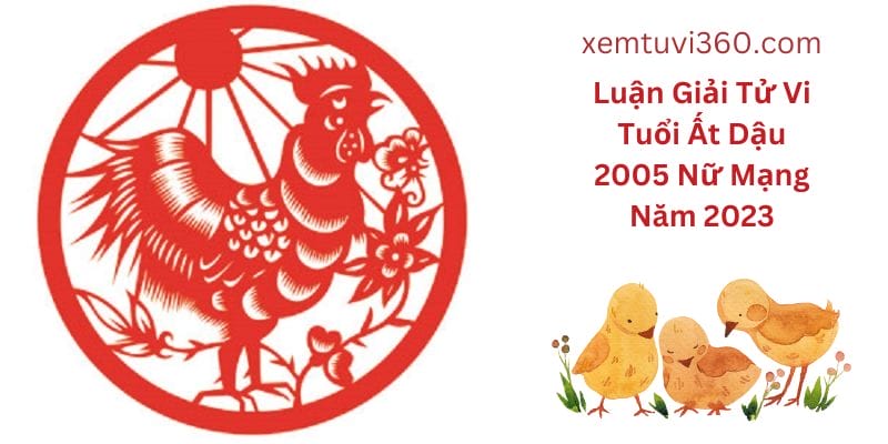 Hình Minh Họa Tử Vi Tuổi Ất Dậu 2005 Nữ Mạng Năm 2023