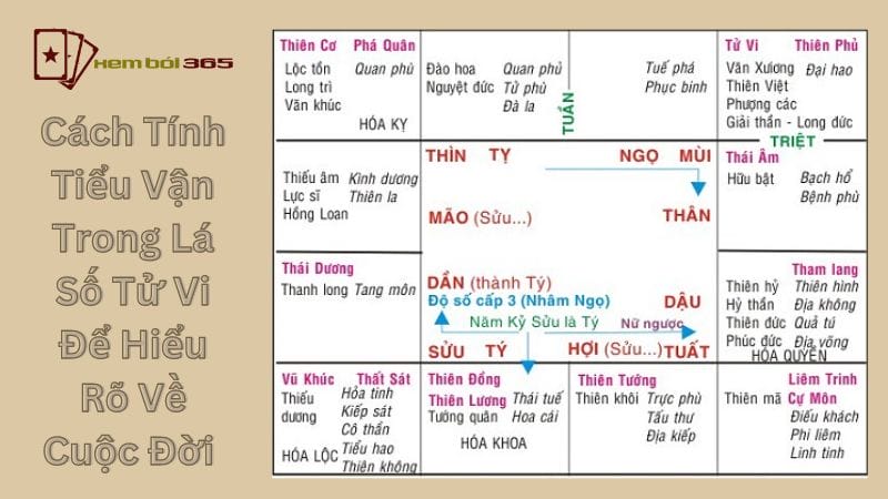 Cách Tính Tiểu Vận Trong Lá Số Tử Vi Để Hiểu Rõ Về Cuộc Đời 