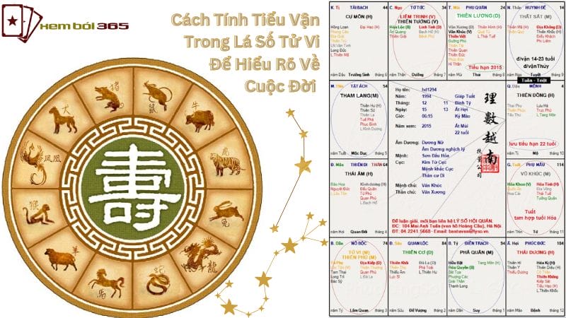 Cách Tính Tiểu Vận Trong Lá Số Tử Vi Để Hiểu Rõ Về Cuộc Đời 