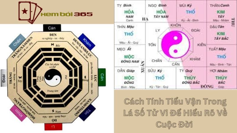 Cách Tính Tiểu Vận Trong Lá Số Tử Vi Để Hiểu Rõ Về Cuộc Đời 