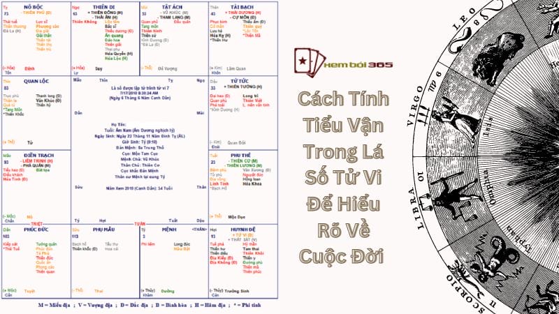 Cách Tính Tiểu Vận Trong Lá Số Tử Vi Để Hiểu Rõ Về Cuộc Đời 