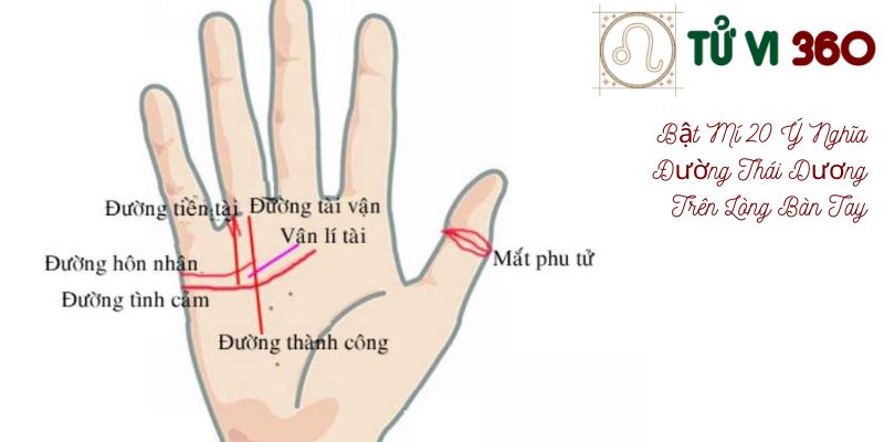 Hình Minh Họa Đường Thái Dương Trên Lòng Bàn Tay (Bật Mí 20 Ý Nghĩa Đường Thái Dương Trên Lòng Bàn Tay)