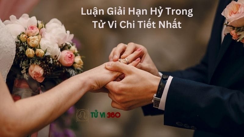 Hình Minh Họa Hạn Hỷ Trong Tử Vi (Luận Giải Hạn Hỷ Trong Tử Vi Chi Tiết Nhất)