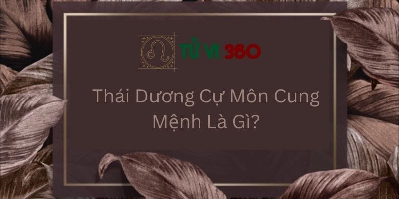 Thái Dương Cự Môn Cung Mệnh Là Gì?