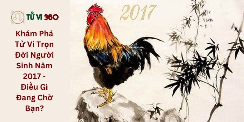 Khám Phá Tử Vi Trọn Đời Người Sinh Năm 2017 - Điều Gì Đang Chờ Bạn?