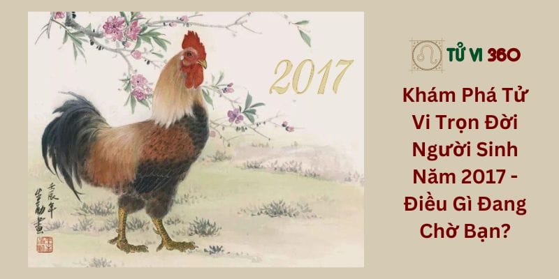 Khám Phá Tử Vi Trọn Đời Người Sinh Năm 2017 - Điều Gì Đang Chờ Bạn?