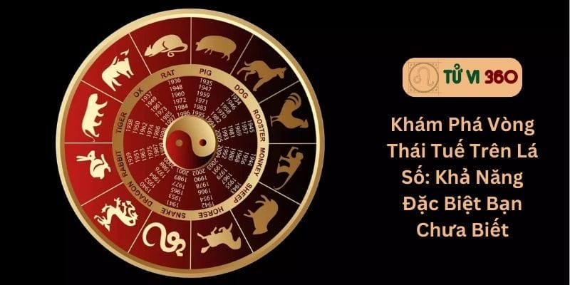 Khám Phá Vòng Thái Tuế Trên Lá Số: Khả Năng Đặc Biệt Bạn Chưa Biết