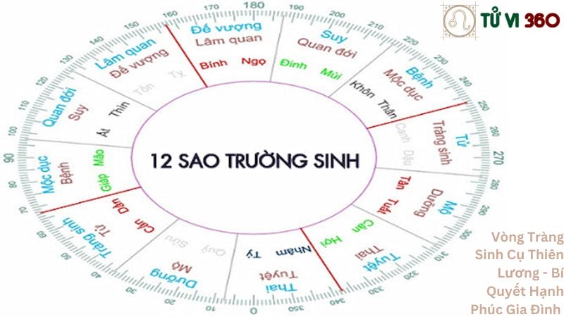 Vòng Tràng Sinh Cụ Thiên Lương - Bí Quyết Hạnh Phúc Gia Đình