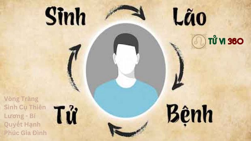 Vòng Tràng Sinh Cụ Thiên Lương - Bí Quyết Hạnh Phúc Gia Đình